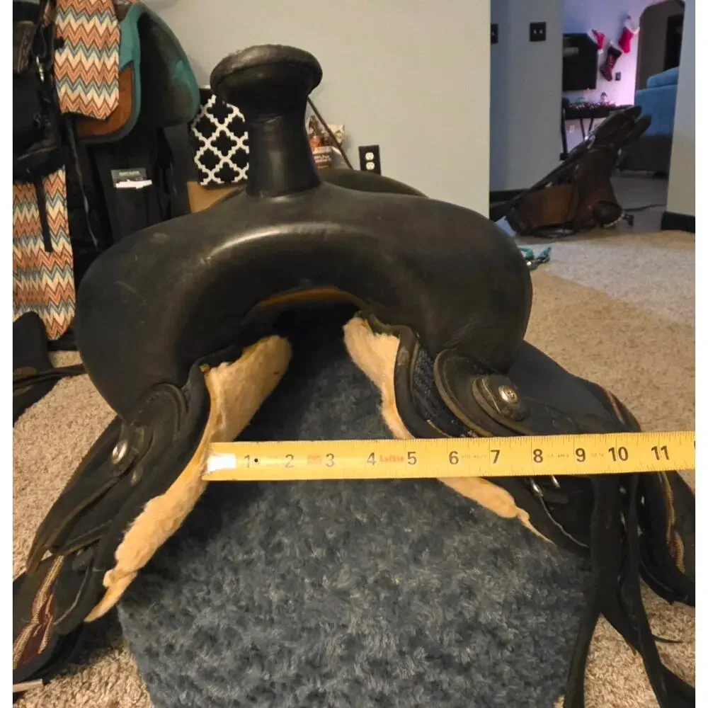 BIG HORN big horn